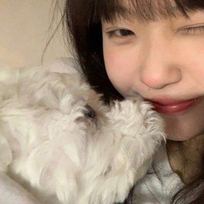 小偷猫咪最新版下载